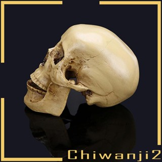 [Chiwanji2] โมเดลฟิกเกอร์เรซิ่น รูปหัวกะโหลก ขนาด 11x8.5x6.5 ซม.