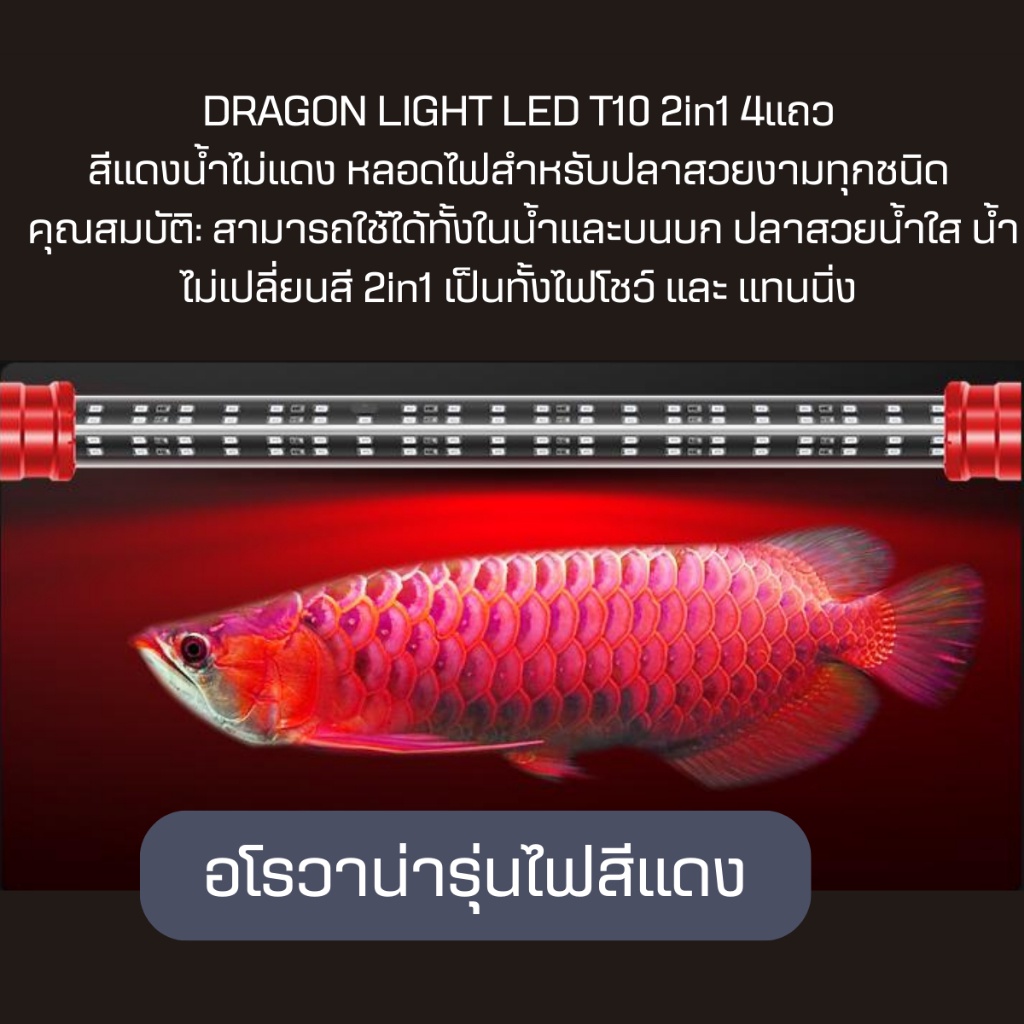 DRAGON LIGHT LED T10 2in1รุ่น DG-92 DG-112  DG-142 DG-172 สีทอง/ขาว-ฟ้า/ขาวล้วน/แดง 4แถวหลอดไฟสำหรับปลาสวยงามทุกชนิด