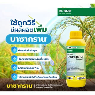 บาซากราน ยากำจัดหญ้า หนวดแมว แห้วหมู ต้นกกทุกชนิด ต้นปรือ ฉีดจี้ข้าวไม่แดงไม่อาน หญ้าตายดีใน 7 วัน