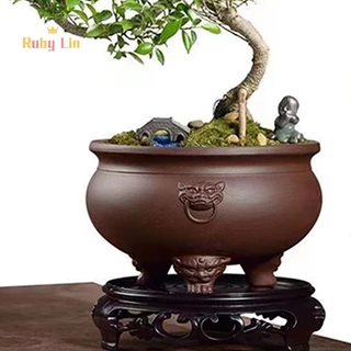 ทับทิม ลิน 1 ชิ้นแผ่นพลาสติกถาดดอกไม้สูงกรอบผู้ถือสีน้ําตาล-สีดําอุปกรณ์สวนรอบกระถางตกแต่งฐาน
