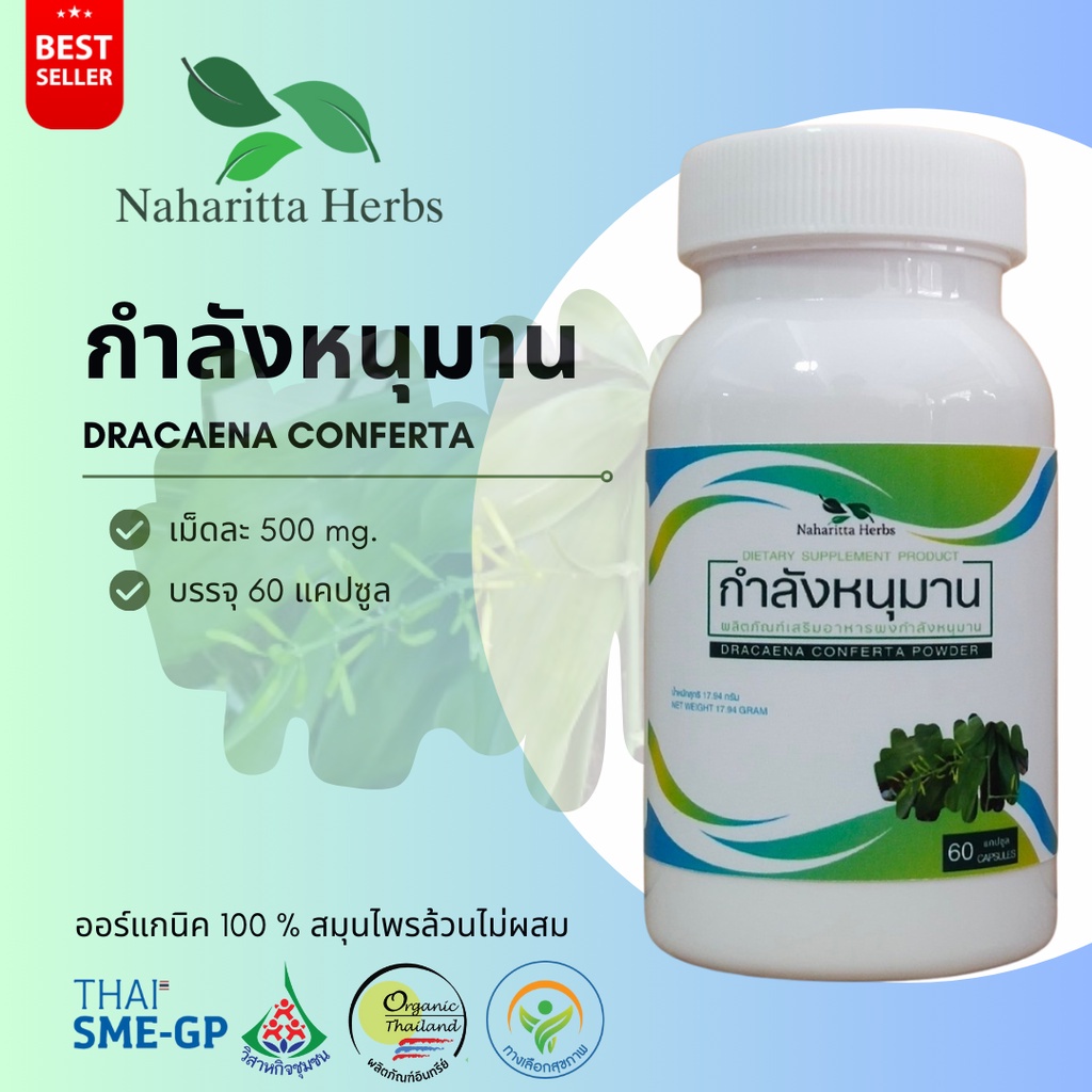 กำลังหนุมาน DRACAENA CONFERTA 100% 60cap. (กระปุก/ซอง เลือกในตัวเลือก) คัดสรรเพื่อคุณ