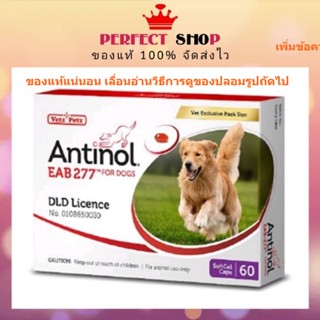 *ลอตใหม่* Antinol สุนัข อาหารเสริมบำรุงข้อ ลดอักเสบ EXP 9/2024