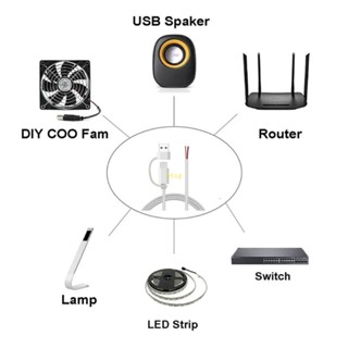 Bt สายเคเบิลพิกเทล USB C 2 แกน Type C ตัวผู้ เป็น 2Pin 5V 2A DIY