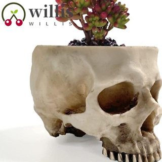 Willis กระถางต้นไม้ รูปหัวกะโหลก สไตล์เรโทร สําหรับตกแต่งบ้าน ออฟฟิศ