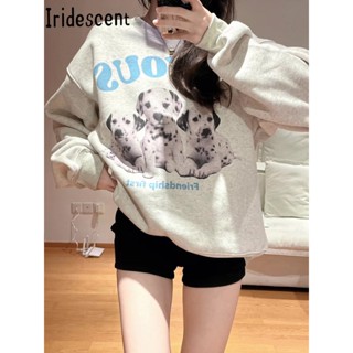 Iridescent เสื้อกันหนาว เสื้อฮู้ด INS trendy comfortable มีชีวิตชีวา A28J18N37Z230912