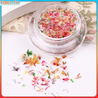 ร้านทำเล็บสีผสมตกแต่งเล็บติดทนนานเล็บ DIY เครื่องประดับทนทาน Fragmented แห้ง FlowerSame ใหม่ผสมสีดอกไม้แห้ง Fragmented ตกแต่งเล็บ DIY เครื่องประดับ | ทิมิ1