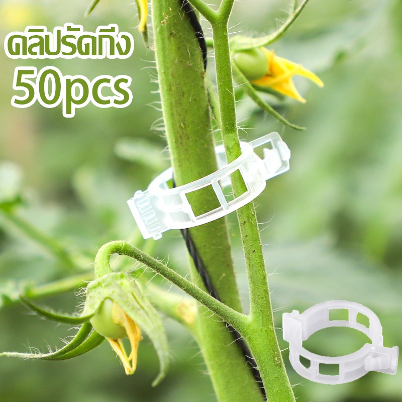【พร้อมส่ง】แหวนรัดกิ่ง 50pcs คลิปหนีบต้นไม้มะเขือเทศ คลิปรัดกิ่ง ที่รัดกิ่ง ไม้เลื้อย รัดกิ่ง