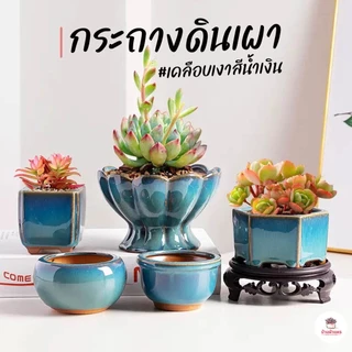 กระถางดินเผา #เคลือบเงาสีน้ำเงิน กระถางต้นไม้ ไม้อวบน้ำ กุหลาบหิน cactus&succulentหลากหลายสายพันธุ์