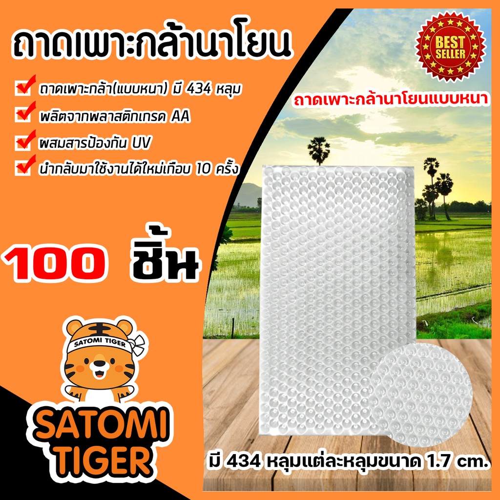 ถาดเพาะกล้านาโยน (แบบหนา) มี 434 หลุม แพ็ค 100 ชิ้น กล้านาโยน นาโยน เพาะกล้านาโยน ถาดนาโยน ถาดเพาะนา