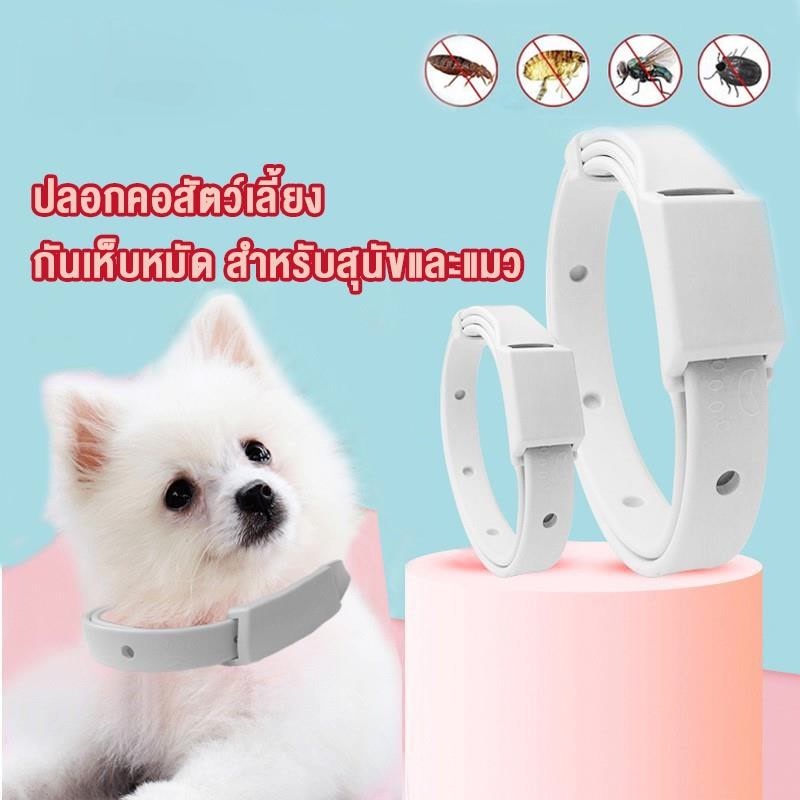ปลอกคอสัตว์เลี้ยง กันเห็บหมัด สำหรับสุนัขและแมว