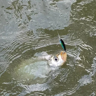 Outkit ใหม่ Sinking ดินสอ Lure น้ําจืดดําน้ําประดิษฐ์ Trembling เหยื่อปลอมสําหรับปลาเทราท์ Pike Perch Tackle Creek Wobblers