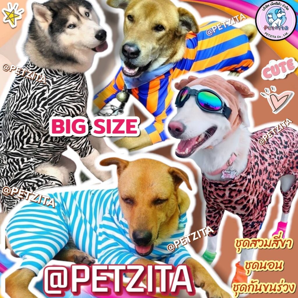 🇹🇭พร้อมส่ง🇹🇭 🐕 💥(ลิ้งค์ที่3) BIG SIZE ชุดสี่ขา ชุดกันขนร่วง สุนัขพันธุ์ใหญ่ หมาใหญ่ เสื้อหมา โกลเด้น ลาบาดอร์ ไซบีเรี...