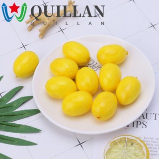 Quillan ผลไม้ปลอม ขนาดเล็ก 20 ชิ้น / เซต ส้ม โมเดลตกแต่งบ้าน โฟม ผัก ปาร์ตี้ เครื่องประดับจําลอง สตรอเบอร์รี่ เครื่องประดับตกแต่งบ้าน