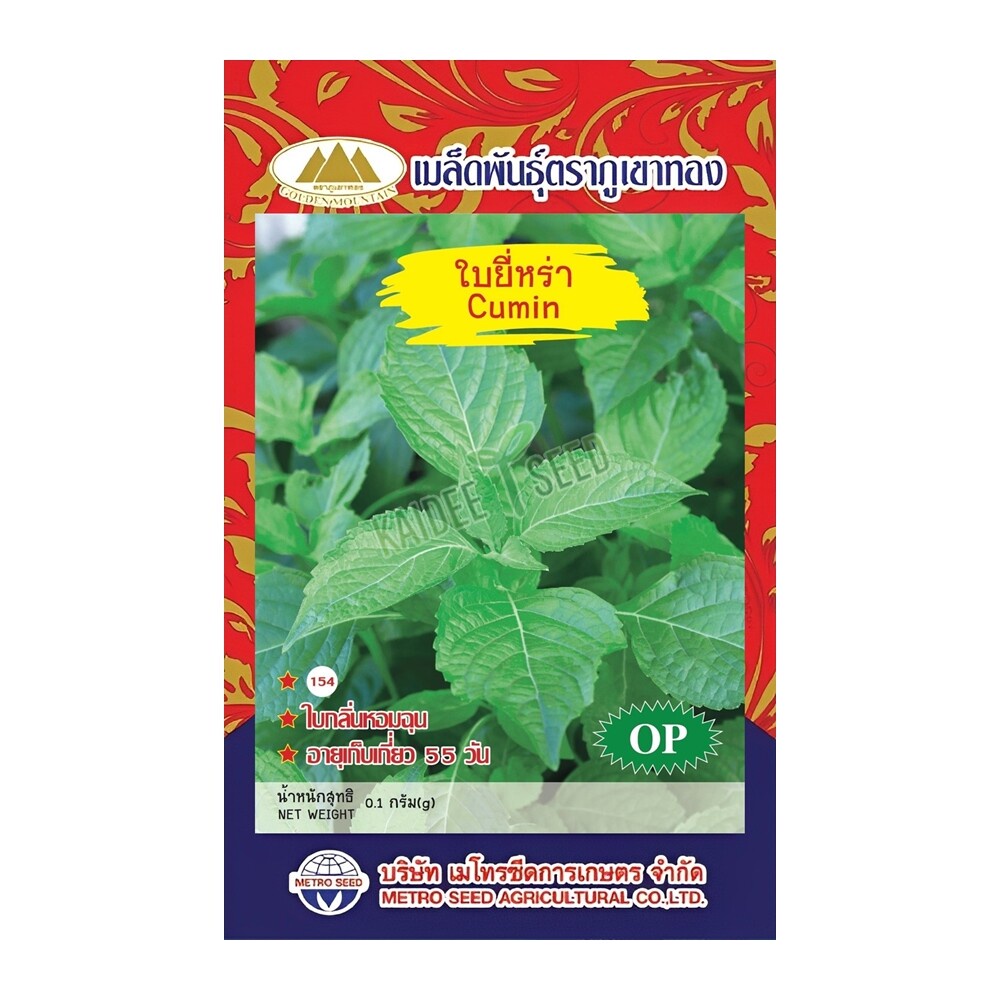 เมล็ดใบยี่หร่า Cumin MT/OP-142 เมล็ดพันธุ์ใบยี่หร่า เมล็ดยี่หร่า เมล็ดพันธุ์ยี่หร่า เมล็ดผักสวนครัว