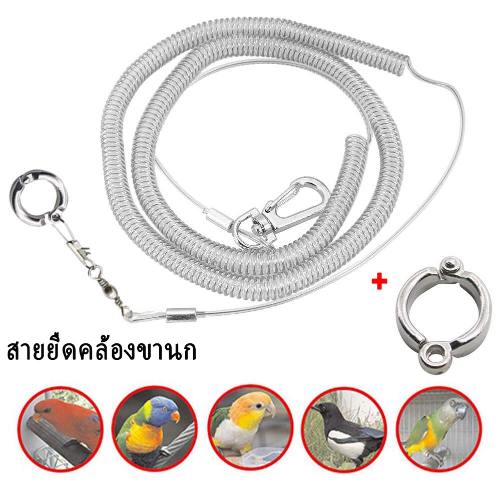 สายจูงนก สายคล้องขานก พร้อมห่วงขานก เชือกนก สายแบบยืดหยุ่น 3เมตร ใช้กับห่วงเปิดนก ฝึกบิน