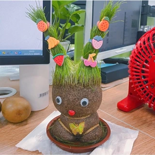 หญ้าแมว ตุ๊กตาหัวหญ้า ตุ๊กตาหญ้า grass head DIY กระถางสร้างสรรค์ ของขวัญ