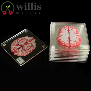 Willis ชุดที่รองแก้วเครื่องดื่ม ของขวัญ สําหรับนักวิทยาศาสตร์ บ้าน บาร์