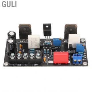 Guli 30W Power Amplifier Board  AMP Module For Speaker Transform