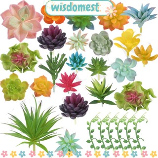 Wisdomest พืชอวบน้ําปลอม DIY สําหรับตกแต่งบ้าน สวน ห้องนั่งเล่น