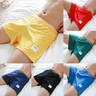 GORGEOUS~Adults Male Mens Boxer Briefs Casual Comfy Cotton Fashion M~3XL Panties Sexy