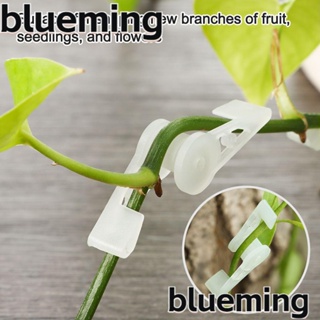 Blueming2 ที่ดัดพืช 90 องศา อเนกประสงค์ คลายเครียด สําหรับฝึกปลูกต้นไม้