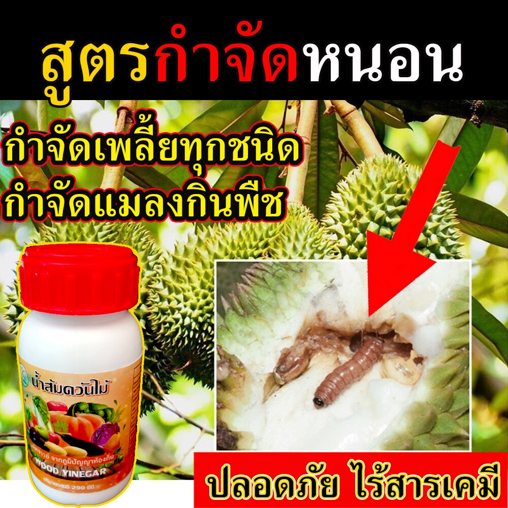 🛒ของแท้  (ได้ผล100%) ยาฉีดหนอนทุเรียน ไร้สารเคมี 250 ซีซี ฉีดกันหนอนทุเรียน ป้องกันหนอนทุเรียน กำจัดหนอนเจาะต้นทุเรียน