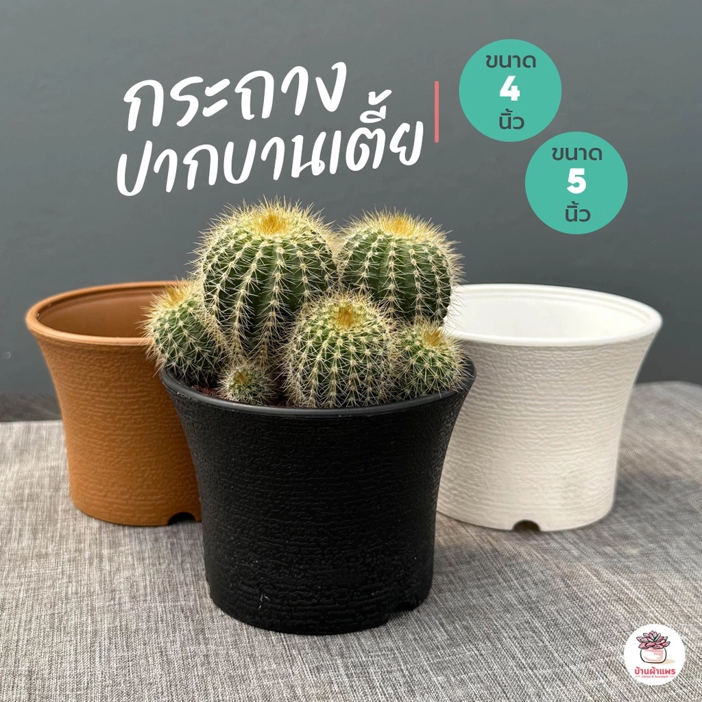 กระถางตอไม้ ปากบานเตี้ย กระถางพลาสติก แคคตัส กระบองเพชร ไม้อวบน้ำ Cactus&Succulent