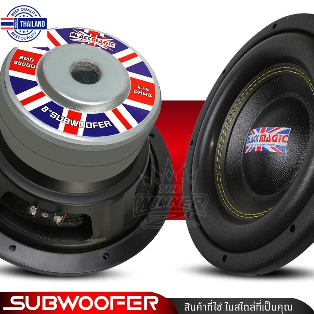 1ดอก ดอกซั8นิ้ว ซั8นิ้ว ซั8 ขอโดนัทใหญ่ ดอกลำโพงซัเส ลำโพงซั ซัวูฟเฟอร์ ซัเส8นิ้ว แม่เหล็ก120x20x2 1