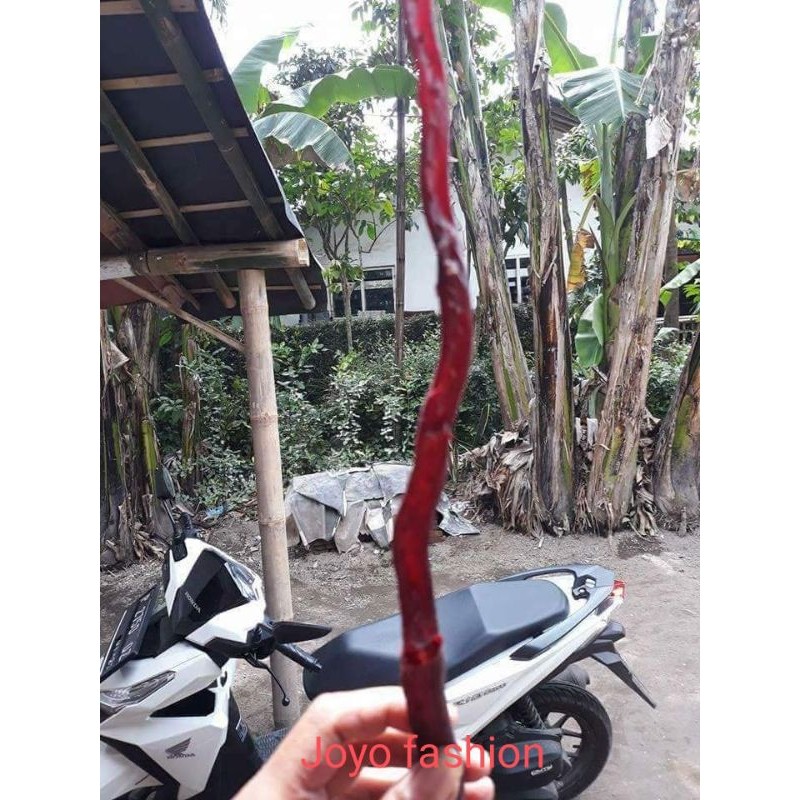 MERAH RED BLACK BEACH ROOT TREE MADE OF BRACELET