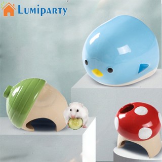 Lumiparty รังนกเซรามิค กึ่งปิด กันกัด กันการสึกหรอ สีทอง สําหรับสัตว์เลี้ยง หนูแฮมสเตอร์