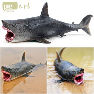 Pearlth โมเดล Megalodon ของเล่นวิทยาศาสตร์ เสริมการศึกษา สําหรับเด็ก