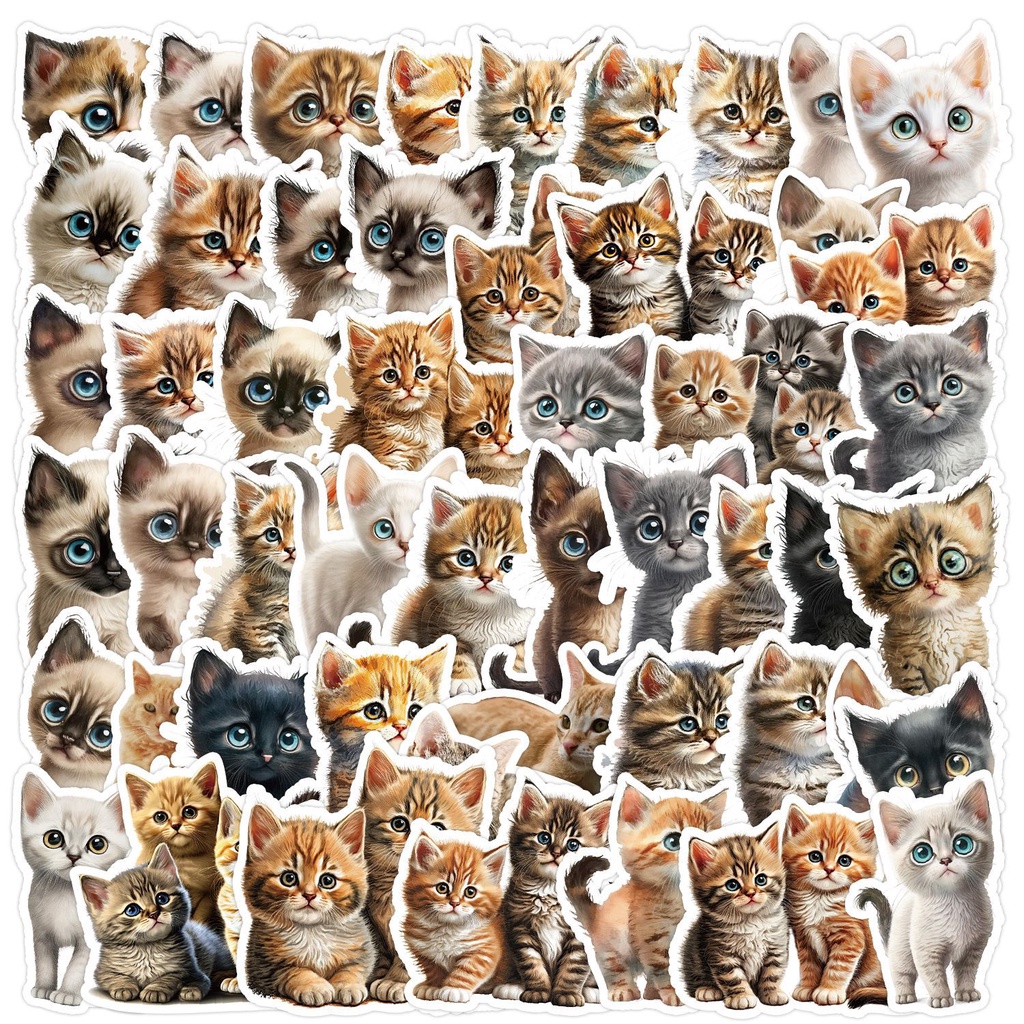 Lanlanstickersworld สติกเกอร์ ลายแมวตาโตน่ารัก กันน้ํา สําหรับติดตกแต่งหมวกกันน็อค จักรยาน 50 ชิ้น