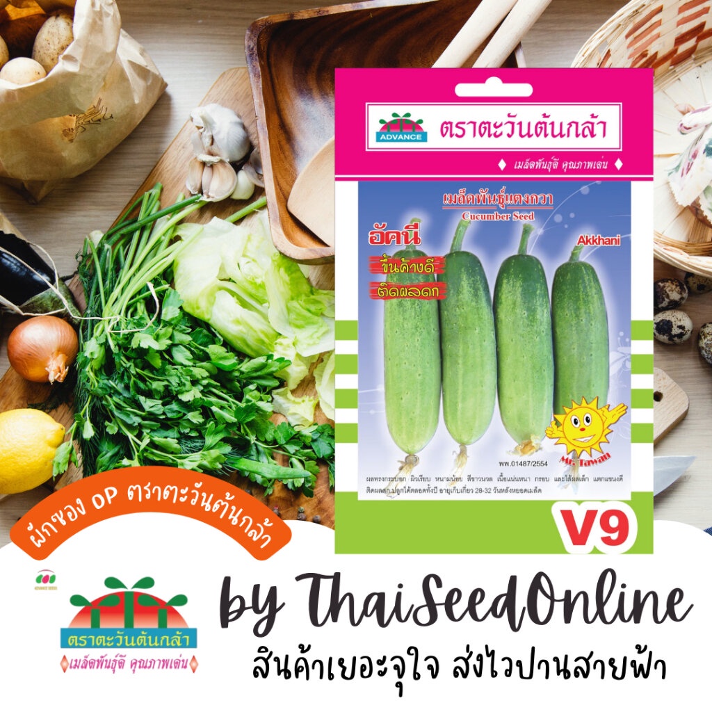 ADVOP ซฟ เมล็ดพันธุ์ แตงกวาอัคนี ตราตะวันต้นกล้า V9
