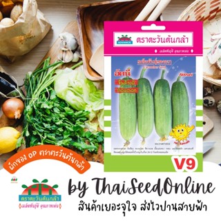 ADV ซฟ เมล็ดพันธุ์ แตงกวาอัคนี ตราตะวันต้นกล้า V9