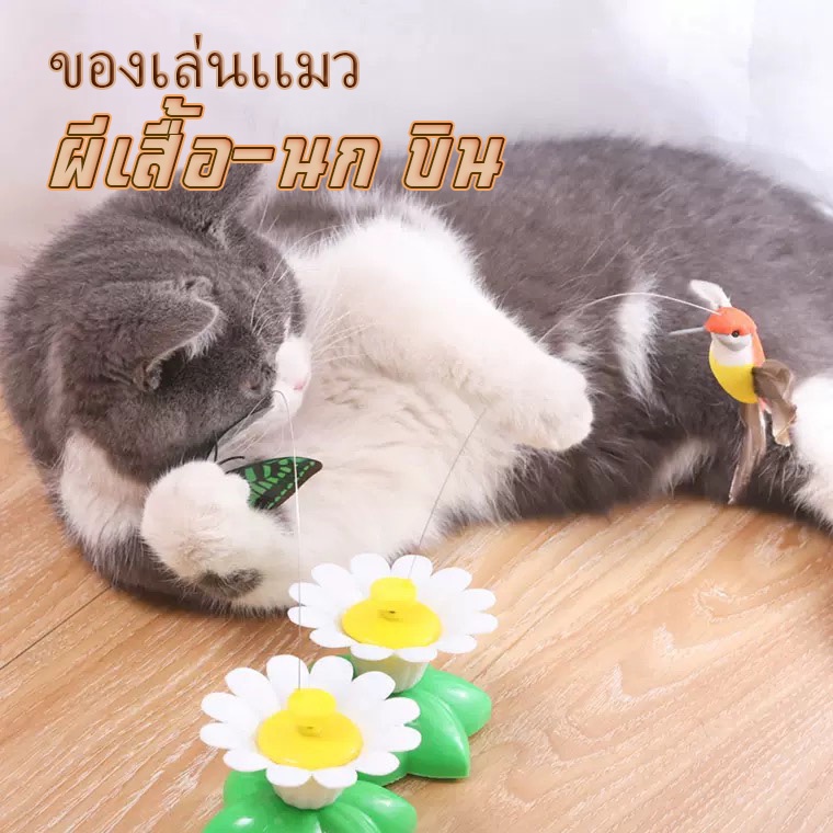 HM-ของเล่นแมว สัตว์เลี้ยง ของเล่นแมวผีเสื้อ ดอกไม้ไฟฟ้า ของล่อแมว ผีเสื้อออโต้BF511-512