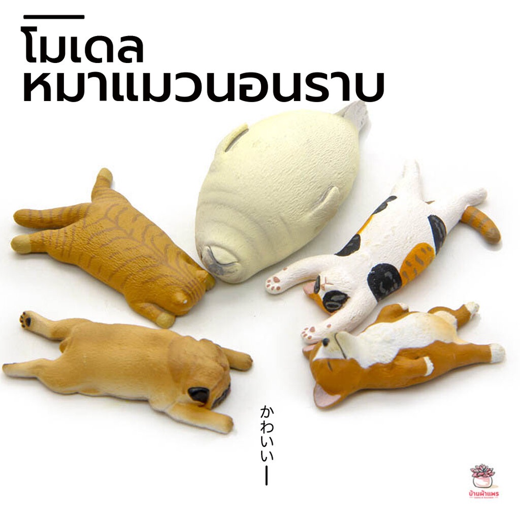 หมาแมวนอนราบ ตุ๊กตาจิ๋ว โมเดลจิ๋ว แต่งสวน ตุ๊กตาแต่งสวนจิ๋ว ตุ๊กตาจัดสวนถาด