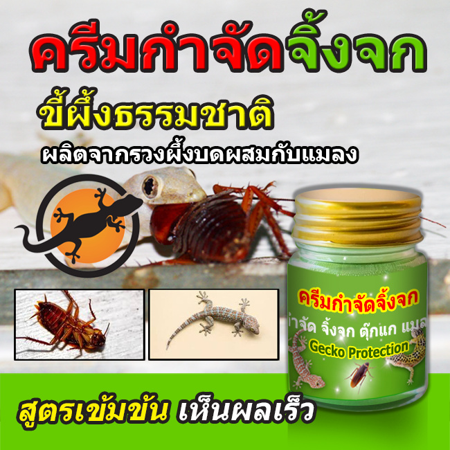 ขายดีอันดับ1!!! ครีมกำจัดจิ้งจก และแมลงสาบ ไล่จิ้งจก และแมลงต่างๆ เห็นผลจริง 10 กรัม ราคา ถูก ที่สุด ราคา ส่ง