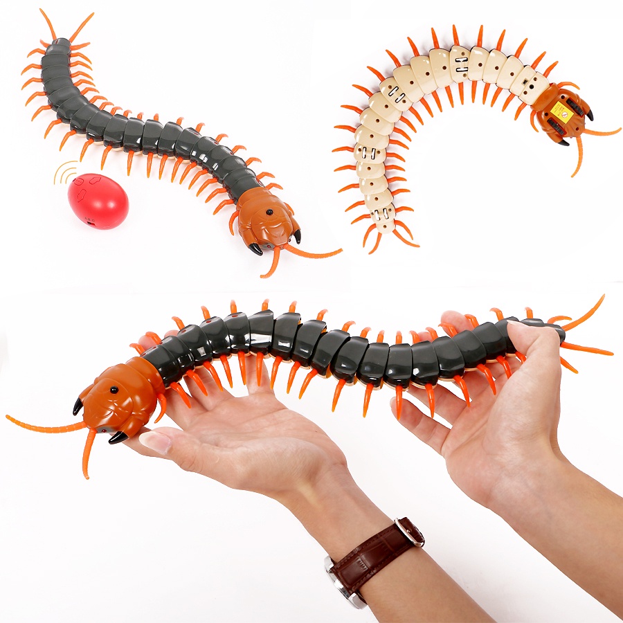 ของเล่นแมลงอิเล็กทรอนิกส์ IR RC Scolopendra Centipede April Fools' Day ของขวัญ สําหรับสัตว์เลี้ยง