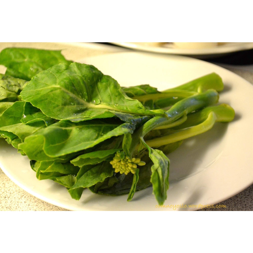 เมล็ดพันธุ์ คะน้าดอก คะน้าฮองกง 10000 เมล็ด [ 10 แถม 1 คละได้] - รูปที่ 2