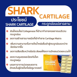 Maxxlife Shark Cartilage 30 capsules. บำรุงข้อเข่า น้ำไขข้อ และกระดูก
