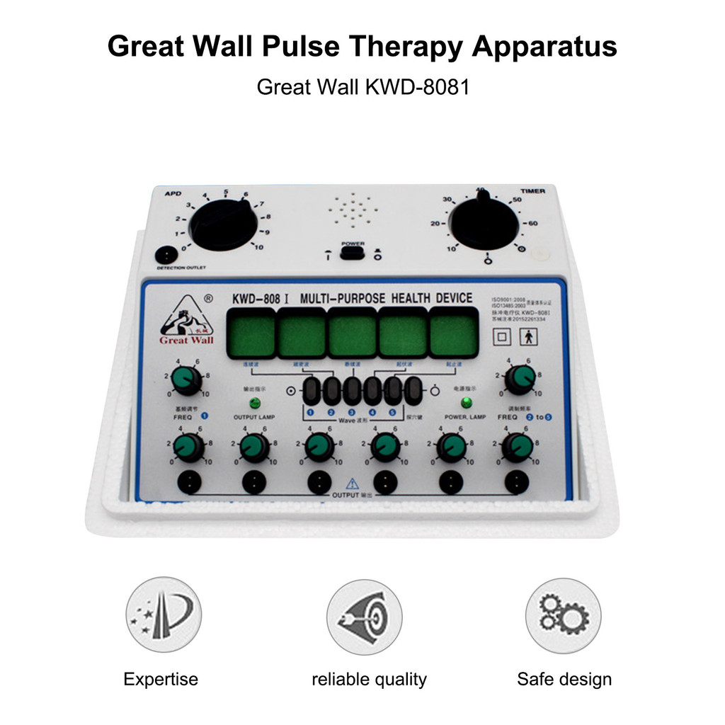 LOCAL Electric Acupuncture Stimulator Machine Electrical Nerve Muscle Stimulator 6 Channels Output P