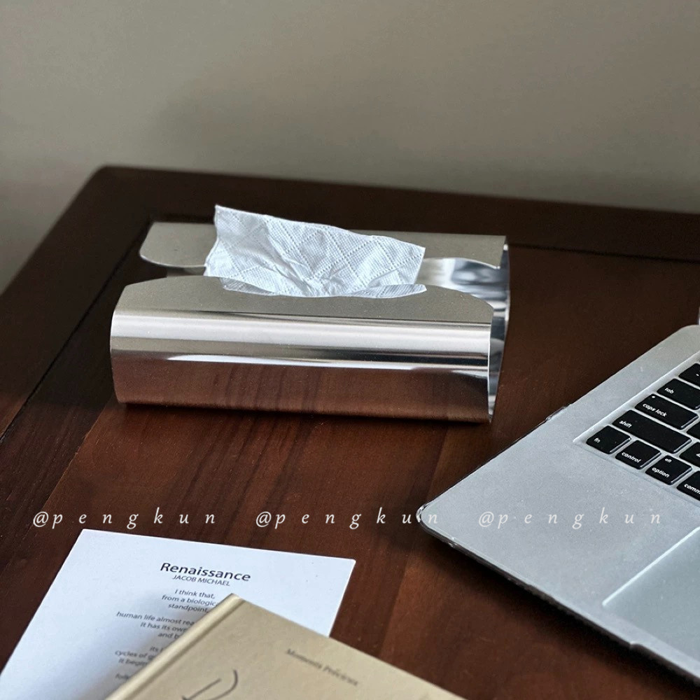 Ins Minimalist สไตล์กล่องกระดาษทิชชู S-Shaped Curve Mirror เงินกล่องกระดาษสแตนเลส Nordic กระดาษตกแต่ง
