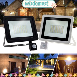 Wisdomest โคมไฟ LED เหนี่ยวนําร่างกายมนุษย์ สําหรับตกแต่งสวน กลางแจ้ง