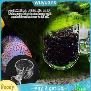 Wuyuans ถ้วยให้อาหารกุ้ง หนอน อะคริลิคใส สีแดง พร้อมจุกสุญญากาศ