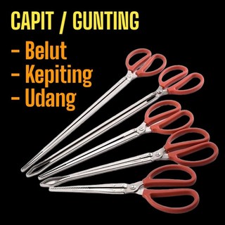 CAPIT Gunting untuk Belut Kepiting Udang
