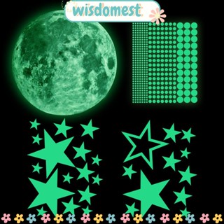 Wisdomest สติกเกอร์ติดผนัง ลายจุดเรืองแสง 435 ชิ้น