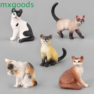 Mxgoods ฟิกเกอร์แมว พลาสติก ขนาดเล็ก ของขวัญ สําหรับตกแต่งสวน