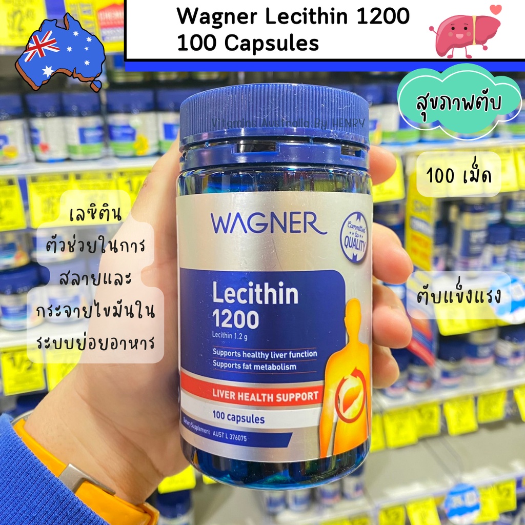 เลซิติน ถั่วเหลือง lecithin Wagner Lecithin เลซิตินจากถั่วเหลือง เลซิติน 100 แคปซูล 1200 มิลลิกรัม E