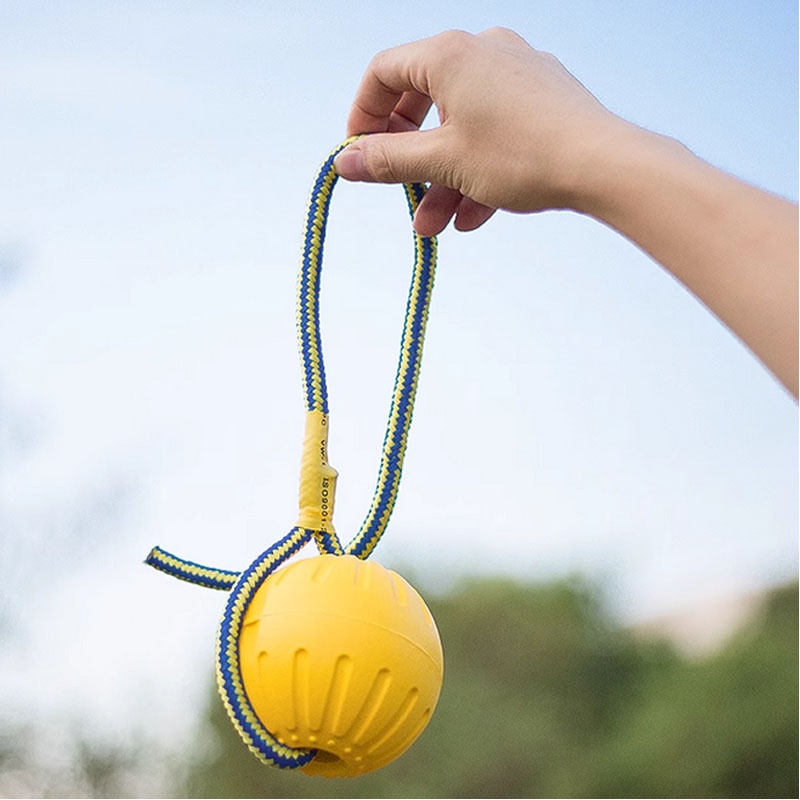 ของเล่นหมา จานร่อน ของเล่นลูกบอล แบบโต้ตอบ จานบิน ความเหนียวสูง ทนทาน ของเล่นฝึกสุนัข - รูปที่ 6