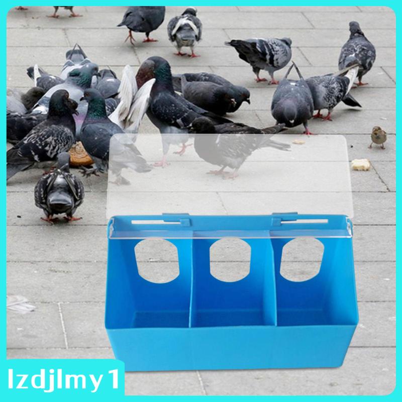 [Lzdjlmy1] กล่องให้อาหารนกพิราบ แบบแขวน สําหรับนกแก้ว นกพิราบ นกพิราบ